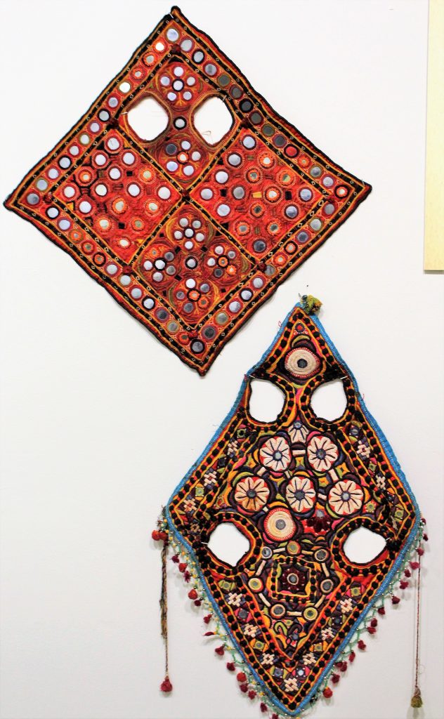 Pakistani horse costumes