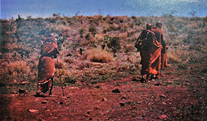 Maasai bride journeys to groom's house