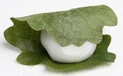 Kashiwa-mochi