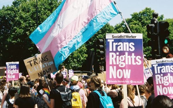 Investigation into impact of anti-trans rhetoric launched – have your experience heard