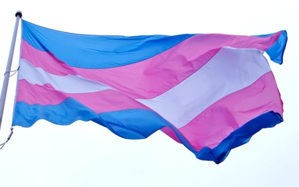 Less than half of trans and non-binary youth say that most/all of the people in their lives respect their pronouns