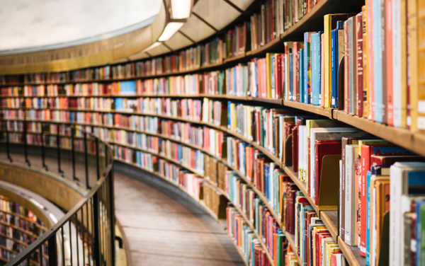 LGBTQ+ authors hit back as US school book bans pick up