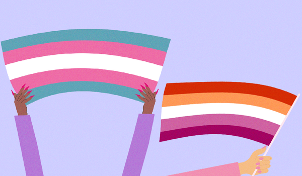 ‘Lesbians being anti-trans is a lesbophobic trope’